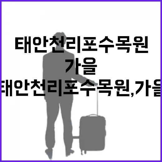 태안 천리포수목원, 가을의 식물 천국