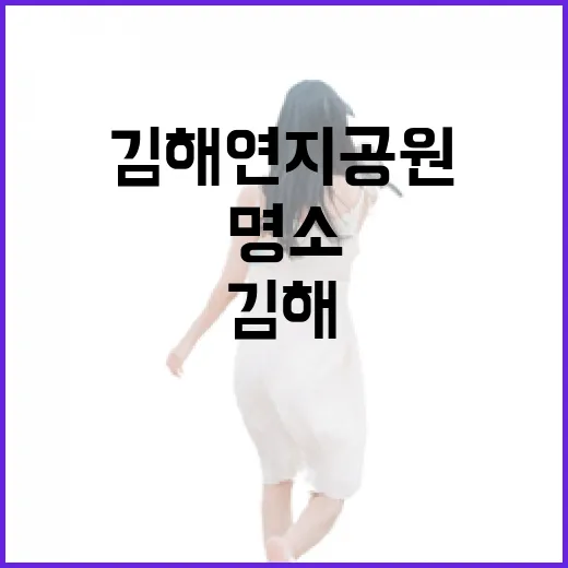 가을빛 물든 김해 연지공원 야경 명소