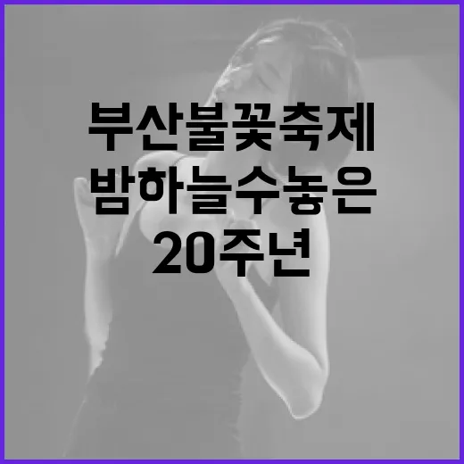 부산 불꽃 축제 20주년, 밤하늘 수놓은 환희의 순간