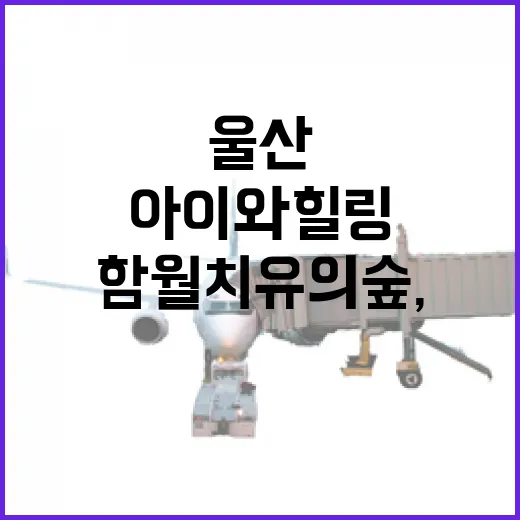 울산 함월 치유의 숲, 아이와 힐링 명소