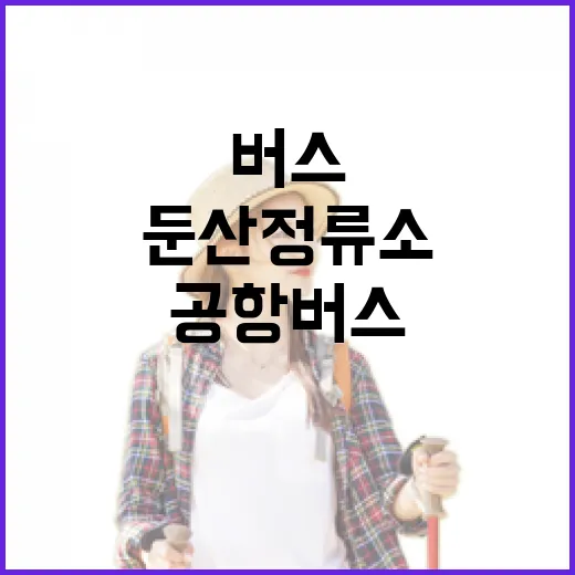 둔산정류소서 인천공항 직행 공항버스 이용법