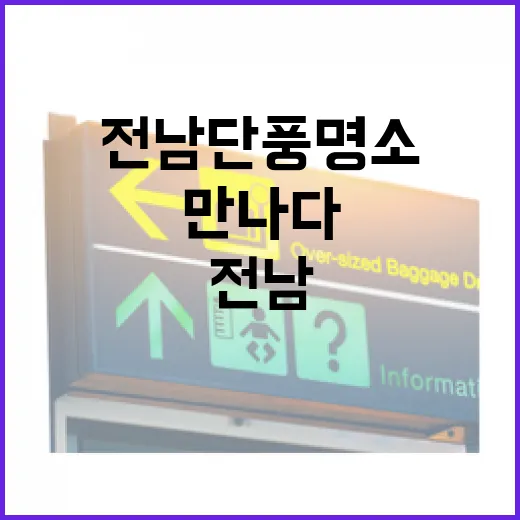 전남 단풍 명소 영상으로 만나다