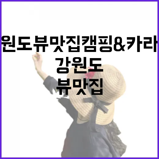 강원도 뷰 맛집 캠핑&카라반 명소