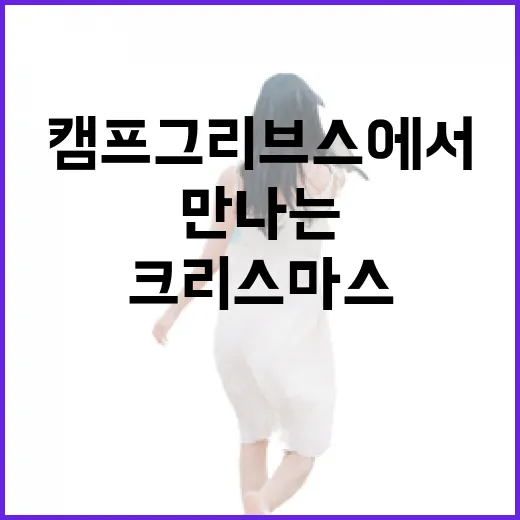 캠프그리브스에서 만나는 특별한 크리스마스