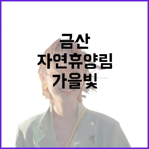 금산자연휴양림, 가을빛 힐링 명소로 각광