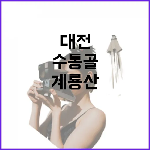 대전 수통골과 계룡산박물관 힐링 산책길