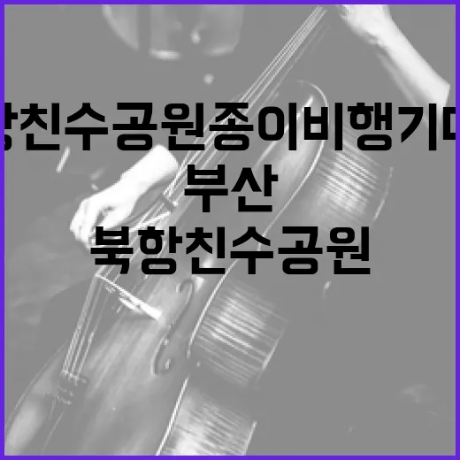 부산 북항친수공원 종이비행기 대회 현장