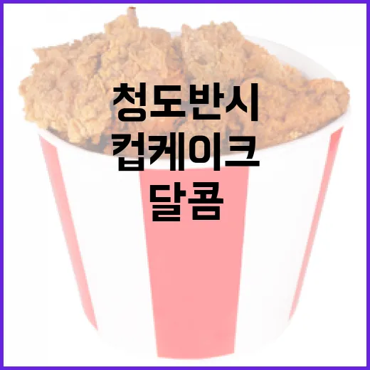 청도 반시로 만든 달콤 컵케이크
