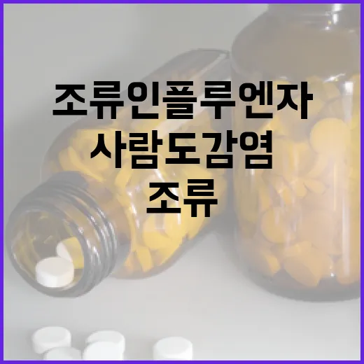 사람도 감염되는 조류인플루엔자 주의