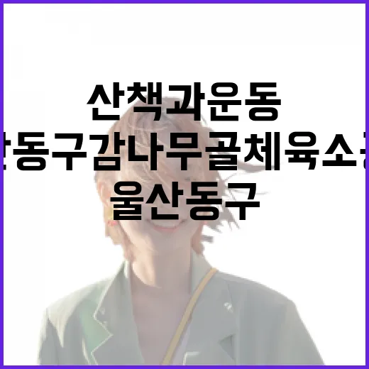 울산 동구 감나무골 체육소공원 산책과 운동 명소