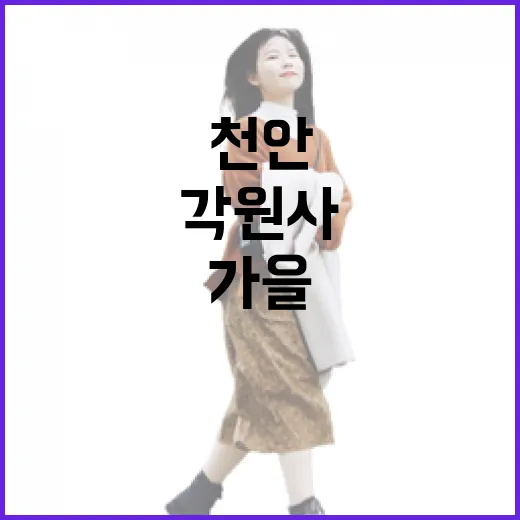 천안 각원사 가을 단풍의 정취