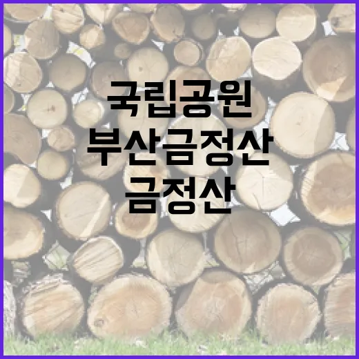 부산 금정산, 국립공원 대열 합류