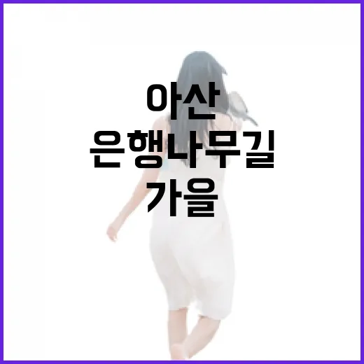 아산 곡교천 은행나무길, 가을 명소의 진수