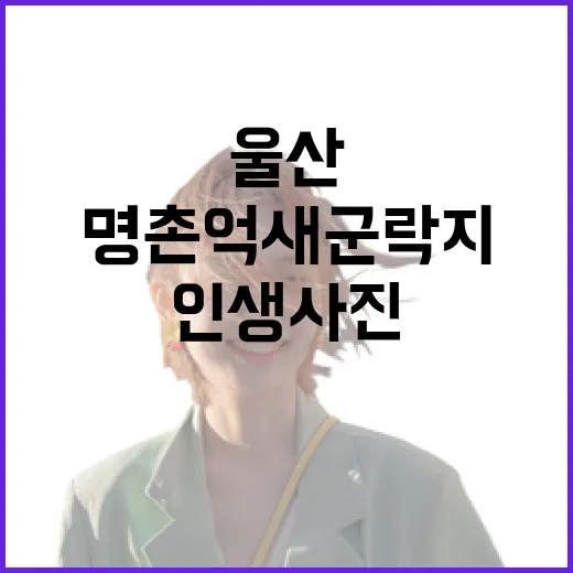 울산 명촌억새군락지 인생사진 명소