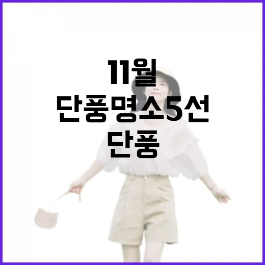 울산 11월 단풍 명소 5선