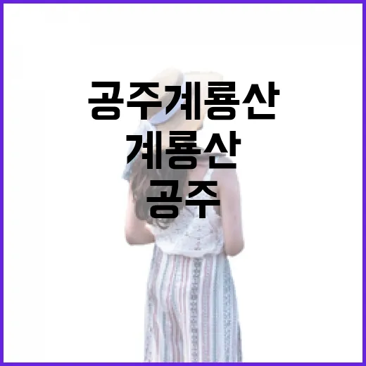 공주 계룡산 늦가을 산행기