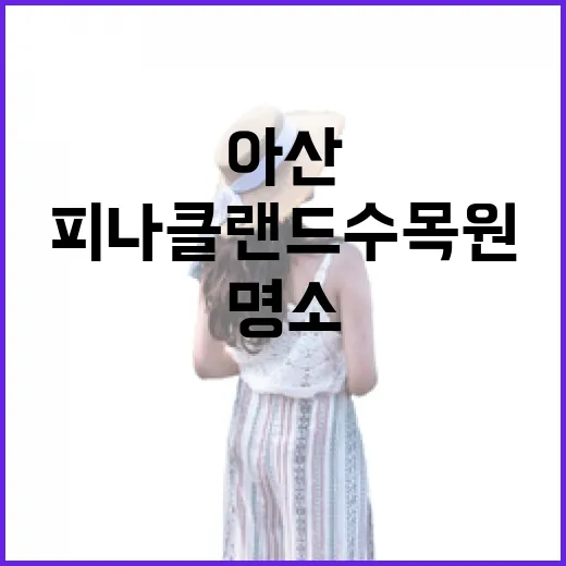 아산 피나클랜드 수목원 힐링 명소