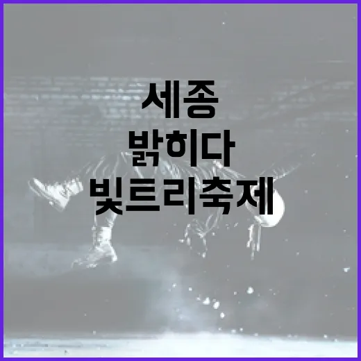 세종 빛트리축제, 겨울밤을 밝히다