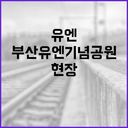부산 유엔기념공원, 평화와 희생의 현장