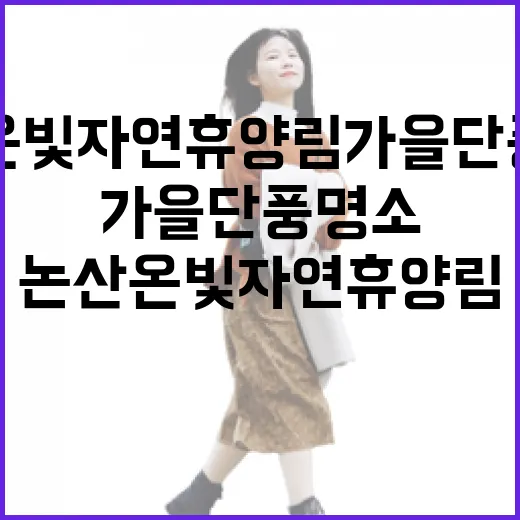 논산 온빛자연휴양림 가을 단풍 명소