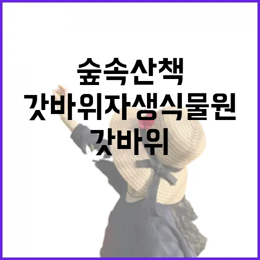 갓바위 자생식물원 숲속 산책의 매력
