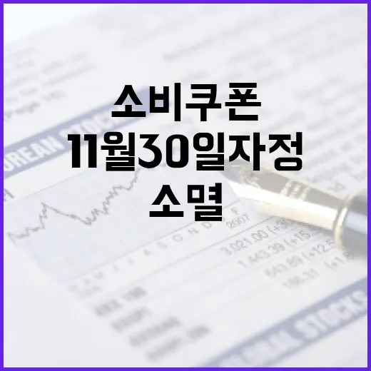소비쿠폰 11월 30일 자정 소멸 임박