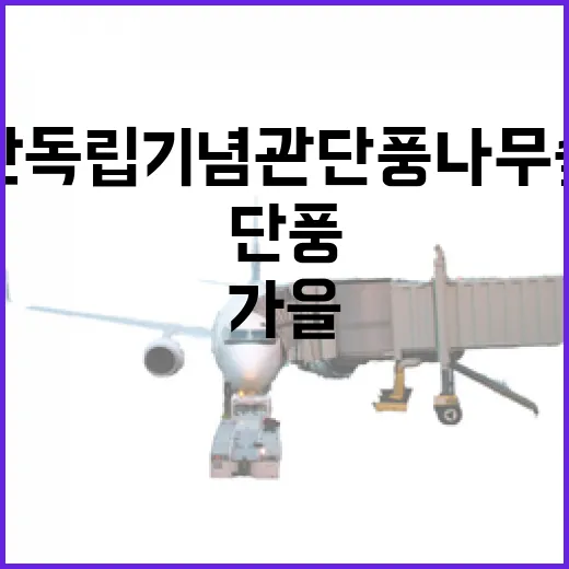 천안 독립기념관 단풍나무 숲길, 가을의 마지막 정취