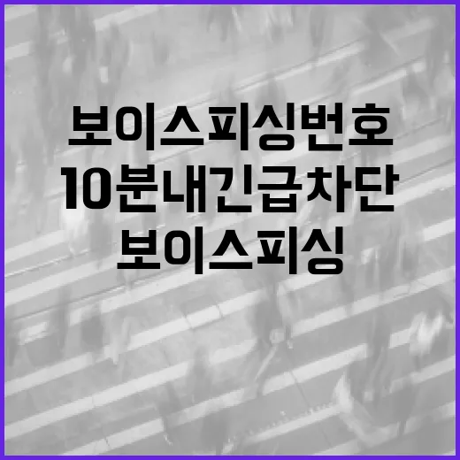 보이스피싱 번호 10분 내 긴급 차단 시작