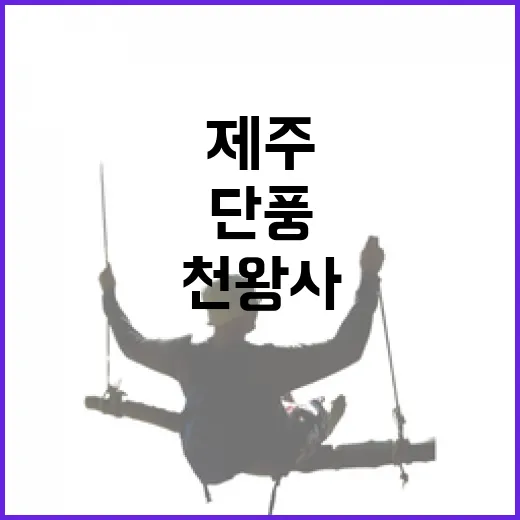 제주 천왕사 가을 단풍 산책길