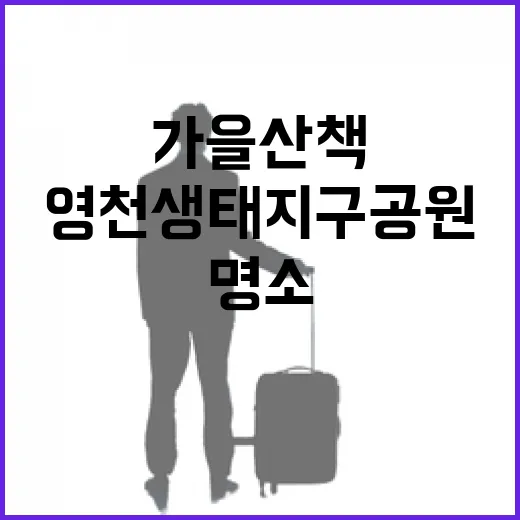 영천생태지구공원 가을 산책 명소