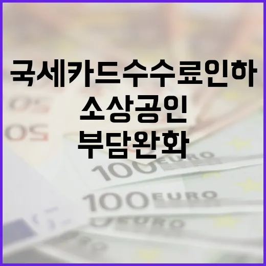 국세 카드 수수료 인하로 소상공인 부담 완화