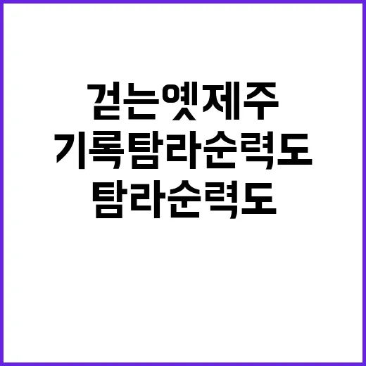 빛으로 걷는 옛 제…