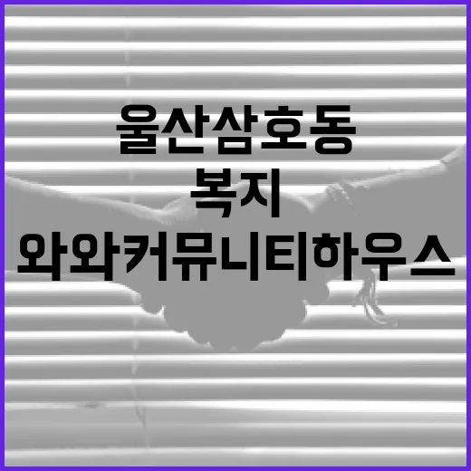 울산 삼호동 와와 커뮤니티하우스 복지 허브