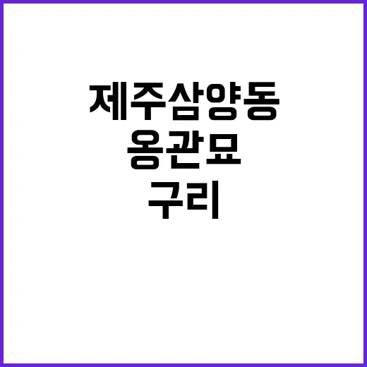 제주 삼양동 옹관묘…