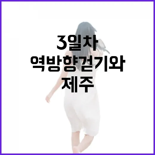 제주올레걷기축제 3일차, 역방향 걷기와 목사 행렬 재현