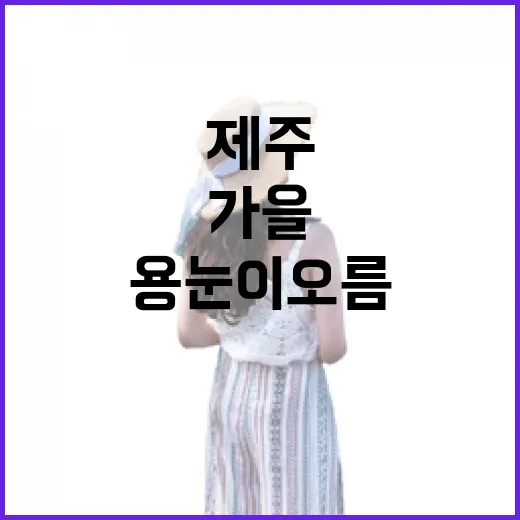 제주 용눈이 오름 가을 억새 산책