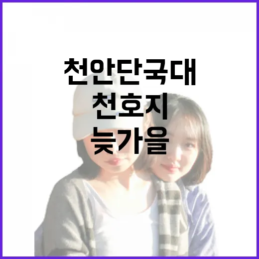 천안 단국대 천호지 늦가을 산책기