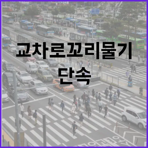 AI로 잡는다 교차로 꼬리물기 단속 본격화