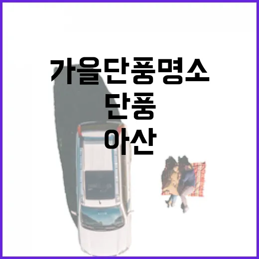 아산 신정호, 가을 단풍 명소의 진수