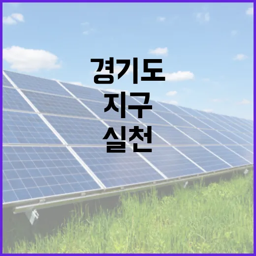 경기도 버섯 연구로 지구 지키기 실천