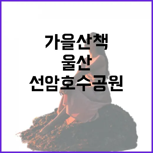 울산 선암호수공원, 가을 산책 명소