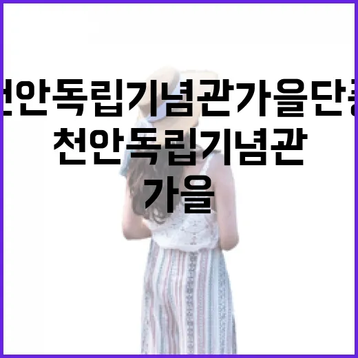 천안 독립기념관 가을 단풍과 독립의 감동