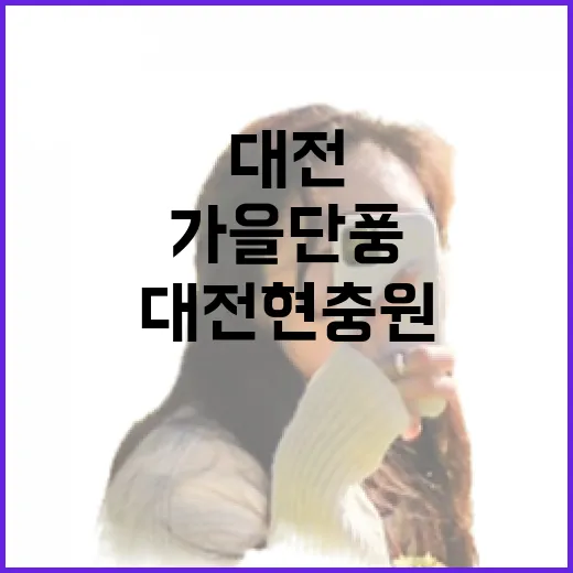 가을 단풍과 함께하는 대전현충원 산책길