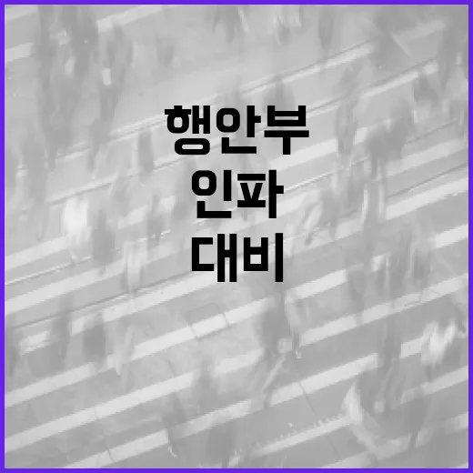 부산 불꽃축제 인파관리, 행안부의 철저한 대비