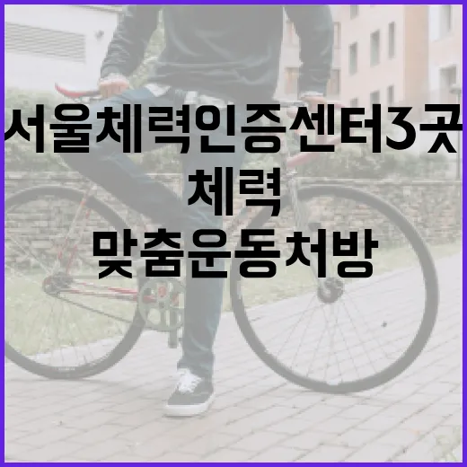 서울 체력인증센터 3곳 개소, 맞춤 운동 처방 시작