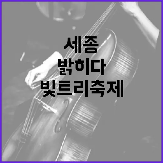 세종 빛트리축제, 겨울밤을 밝히다