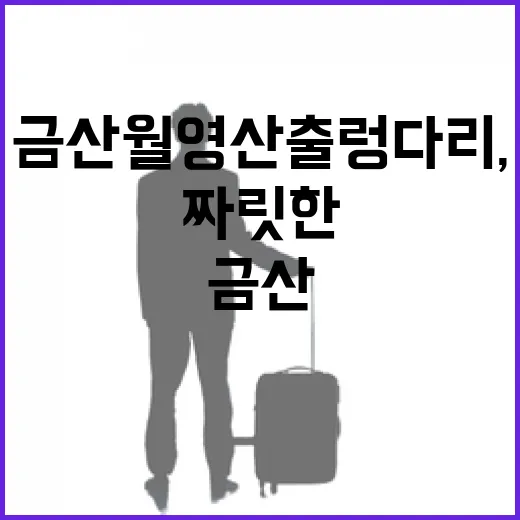 금산 월영산 출렁다리, 가을 산행의 짜릿한 매력