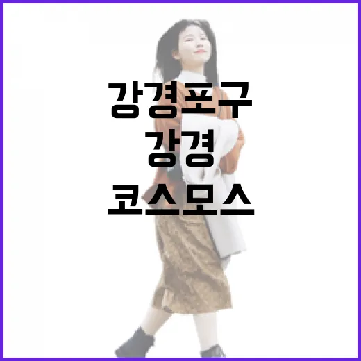 강경포구 가을 코스모스와 라파엘호의 만남