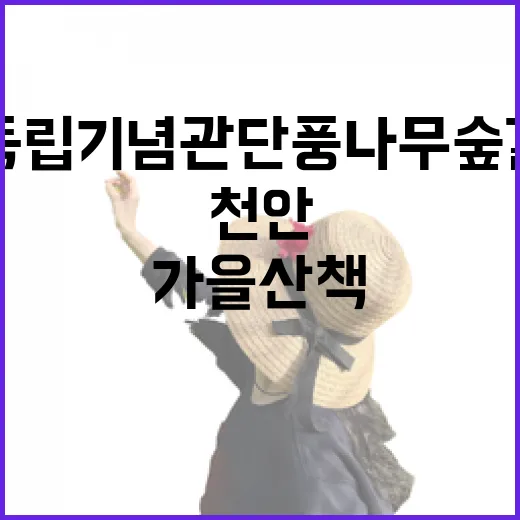 천안 독립기념관 단풍나무숲길 가을 산책