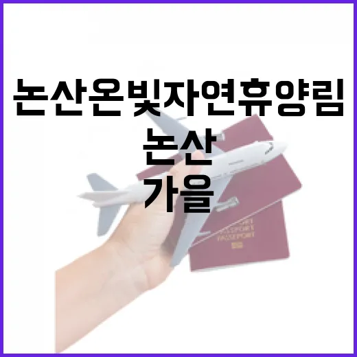 논산 온빛자연휴양림, 가을 산의 매력 속으로